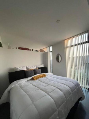 The Duval Suite